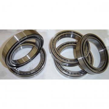 25 mm x 62 mm x 17 mm  SKF NU 305 ECP  Cylindrical Roller Bearings