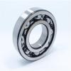 35 mm x 80 mm x 21 mm  FAG NUP307-E-TVP2 Cylindrical Roller Bearings #1 small image
