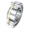 35 mm x 80 mm x 21 mm  FAG NUP307-E-TVP2 Cylindrical Roller Bearings #2 small image