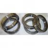 25 mm x 62 mm x 17 mm  SKF NU 305 ECP  Cylindrical Roller Bearings #2 small image